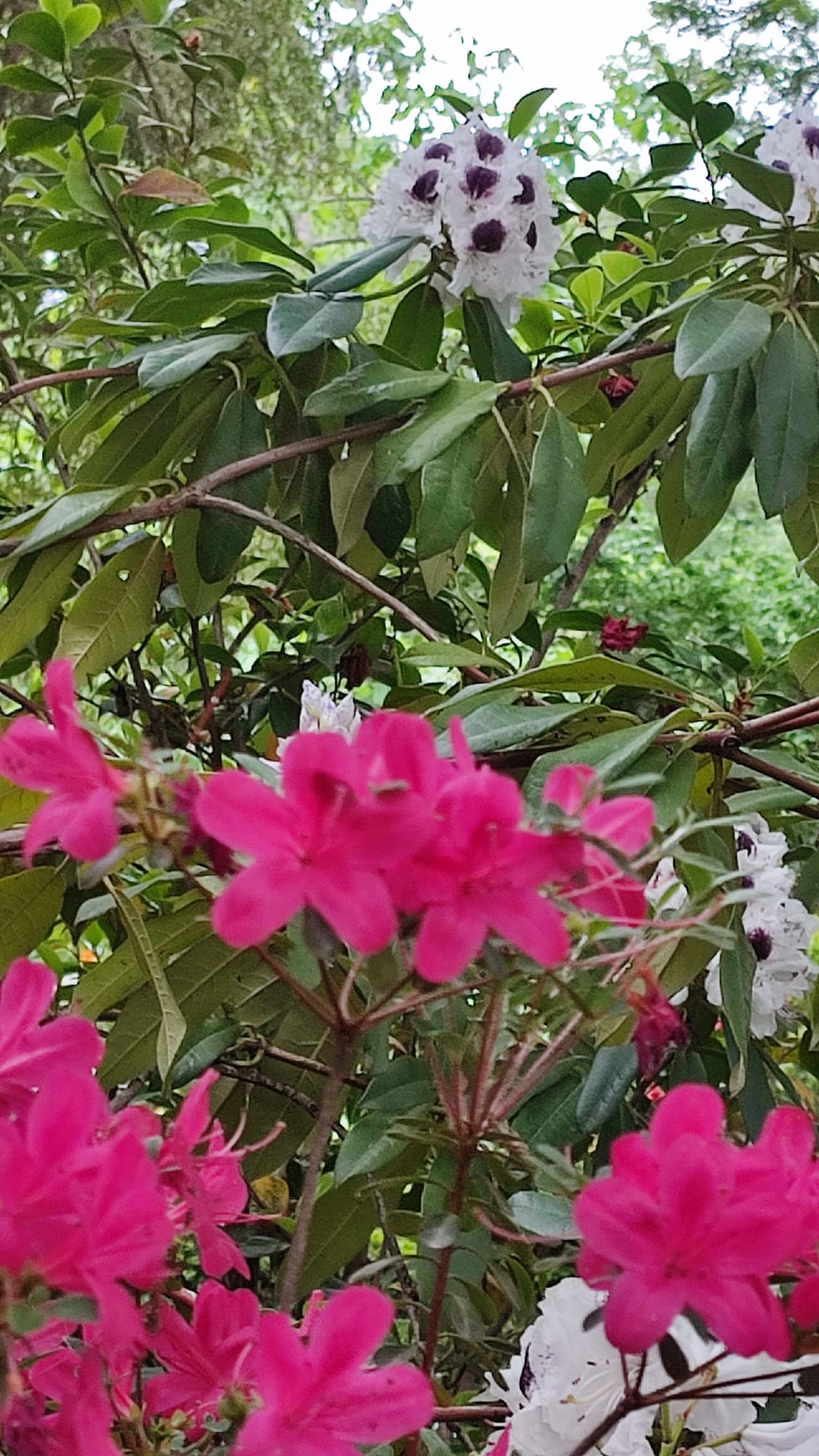 IMG-20230430-WA0164